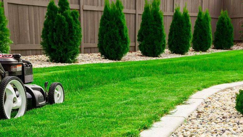 1637849863 cabecera jardineria call to action