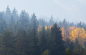 bosques sostenibles 20230130112123 