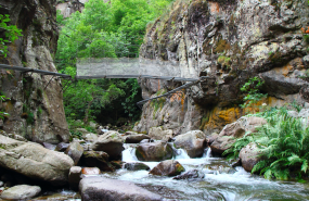 captura de pantalla 2023 12 20 a les 111725