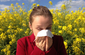 cenczi allergy 1738191 