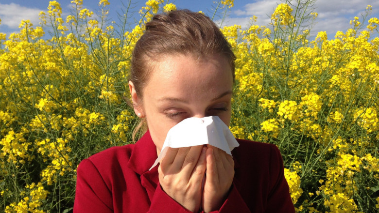 cenczi allergy 1738191 