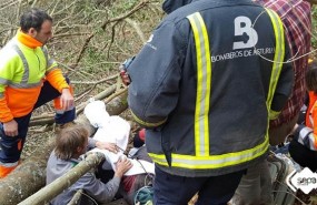 ep accidente laboralcangasnarcea