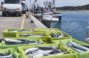 ep archivo cajas de pescado en las inmediaciones donde esta amarrado un barco ep archivo cajas de pescado en las inmediaciones donde esta amarrado un barco