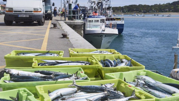 ep archivo   cajas de pescado en las inmediaciones donde esta amarrado un barco