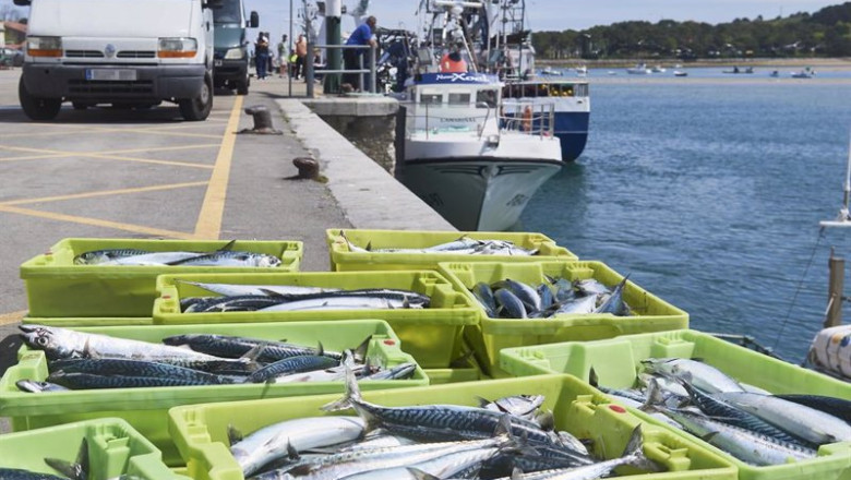 ep archivo cajas de pescado en las inmediaciones donde esta amarrado un barco ep archivo cajas de pescado en las inmediaciones donde esta amarrado un barco