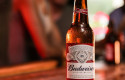 ep archivo   mahou san miguel producira y distribuira las marcas de ab inbev a partir de enero de