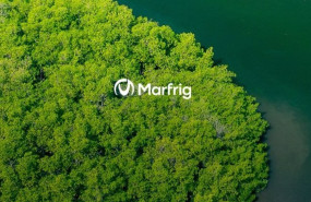 ep archivo   marfrig