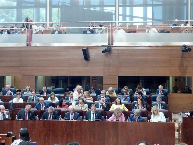 Bancada popular con lazo de España | EUROPA PRESS ep bancada popularlazoespana