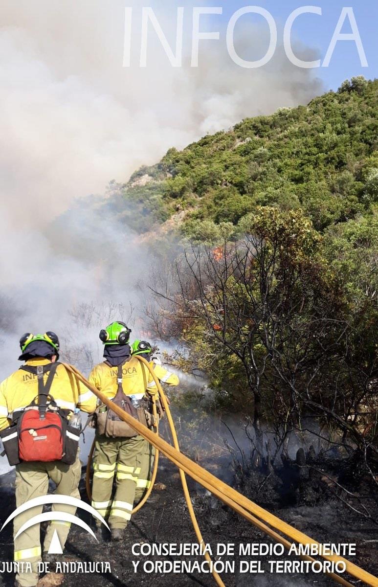ep bomberoen incendio forestalcasares malaga infoca