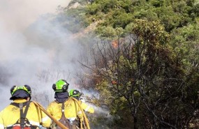 ep bomberoen incendio forestalcasares malaga infoca