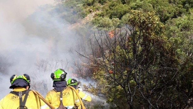 ep bomberoen incendio forestalcasares malaga infoca