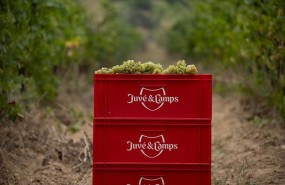 ep caja de juve camps