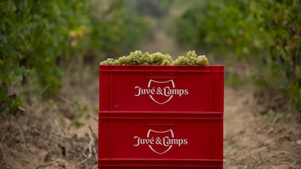 ep caja de juve camps