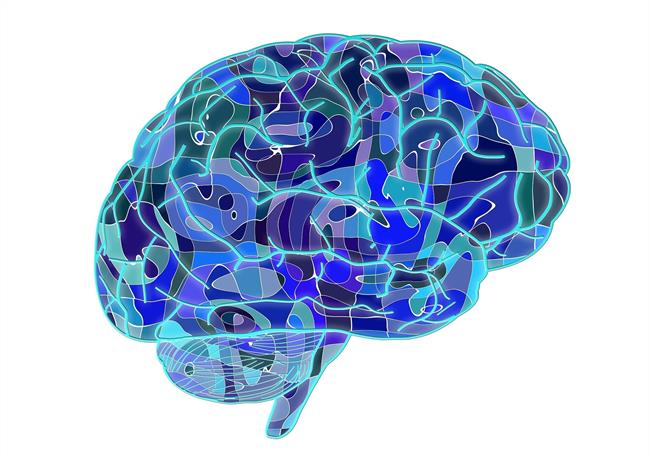 Cerebro | PIXABAY ep cerebro 20171102151202
