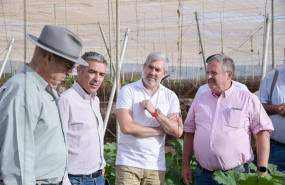 ep el consejero de agricultura del gobierno de canarias narvay quintero y el presidente de canarias ep el consejero de agricultura del gobierno de canarias narvay quintero y el presidente de canarias