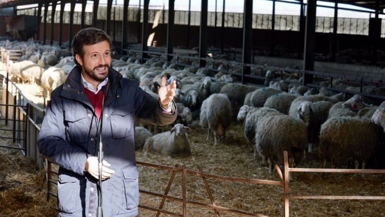 ep el lider del pp pablo casado visita una queseria en matadeon de los oteros leon