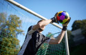 ep l collectiu lambda samarucs valnciala pena lgtbi vcf invitanlos principales clubes ep l collectiu lambda samarucs valnciala pena lgtbi vcf invitanlos principales clubes