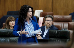 ep la consejera de igualdad politicas sociales y conciliacion rocio ruiz en el pleno del parlamento 20191114175113
