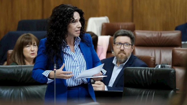 ep la consejera de igualdad politicas sociales y conciliacion rocio ruiz en el pleno del parlamento 20191114175113 ep la consejera de igualdad politicas sociales y conciliacion rocio ruiz en el pleno del parlamento 20191114175113