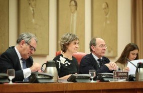 ep la ministra tejerinala comisioncambio climaticocongreso