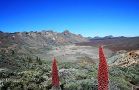 ep parques nacional del teide