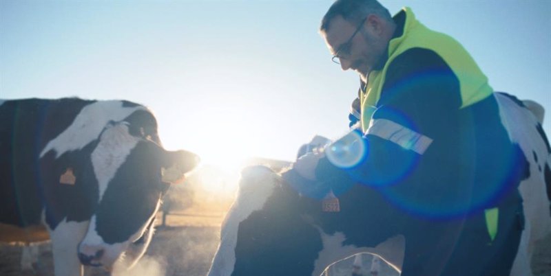 ep pascual reduce un 10 sus emisiones de metano en una ganaderia de burgos gracias a mesta ep pascual reduce un 10 sus emisiones de metano en una ganaderia de burgos gracias a mesta