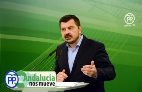 ep vicesecretarioorganizacionpp-a toni martin
