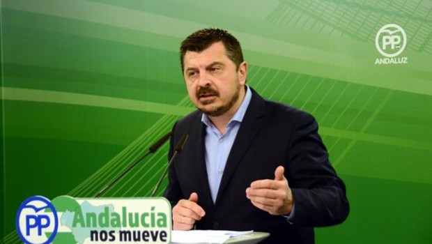 ep vicesecretarioorganizacionpp-a toni martin