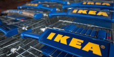hausse-de-11-des-ventes-d-ikea-sur-l-exercice-2014-2015 hausse-de-11-des-ventes-d-ikea-sur-l-exercice-2014-2015
