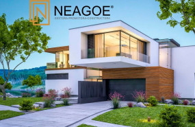 neagoe 1