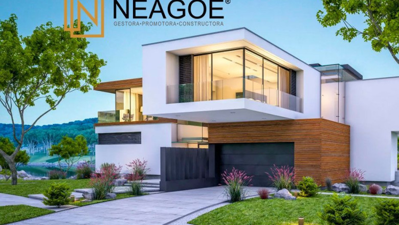 neagoe 1