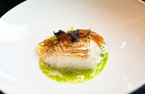 prueba plato hoy 20260211181149 