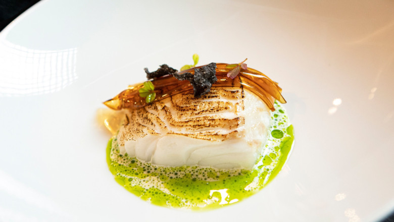 prueba plato hoy 20260211181149 