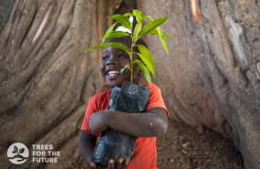 trees senegal boy with seedilng 1 20231128184645 