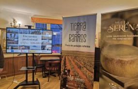 0801  encuentroprofesionalmadrid3 