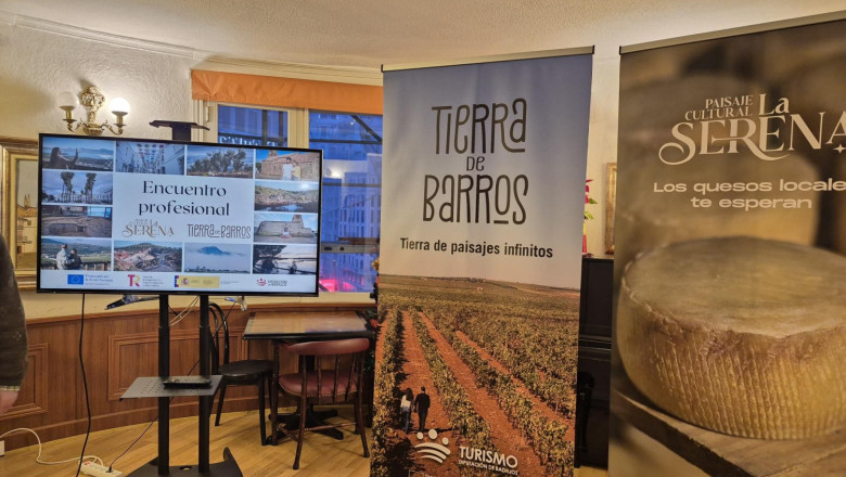 0801  encuentroprofesionalmadrid3 