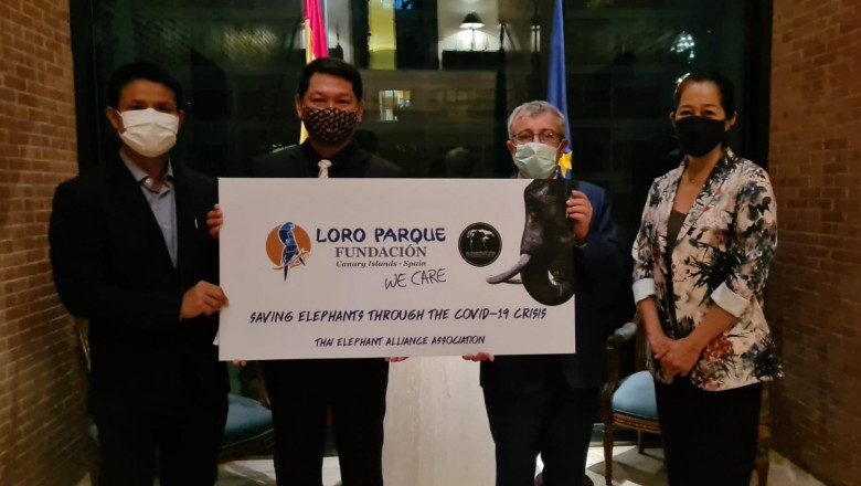 1627047049 donaci n lpf elefantes tailandia 01 20210723174618 