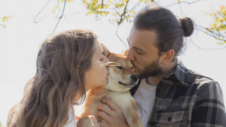 1630406989 pexels yaroslav shuraev 4504090 min 