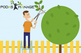 1639742695 podas manage