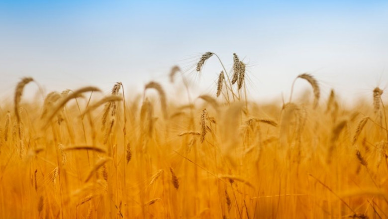 1657724279 ais group aumenta el cr dito a las actividades agr colas ganaderas y pesqueras en el 2021 hasta rozar los 23000 millones de euros