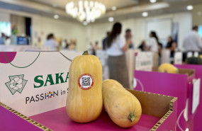 butternut conference 2 