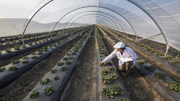 ep archivo   adopta un abuelo innogando y roams tic pymes ganadoras de la cuarta edicion de los