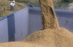ep arroz albufera valencia