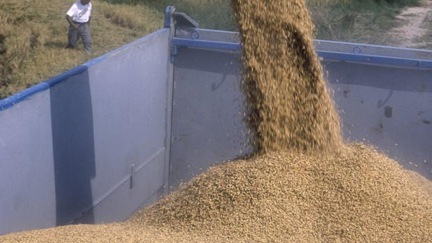 ep arroz albufera valencia