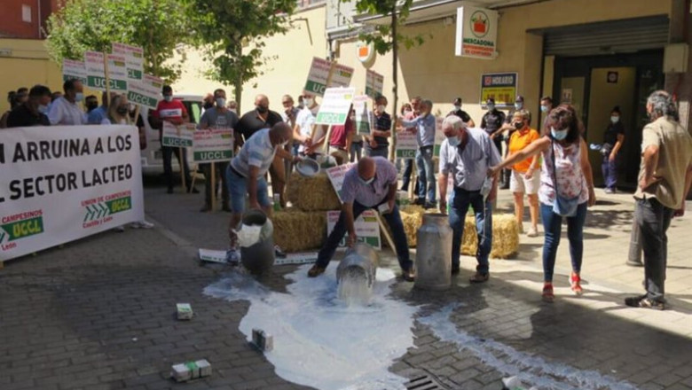 ep concentracion ante la distribucion por los precios de la leche ep concentracion ante la distribucion por los precios de la leche