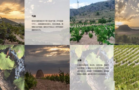 ep detalle de la web china de la dop jumilla