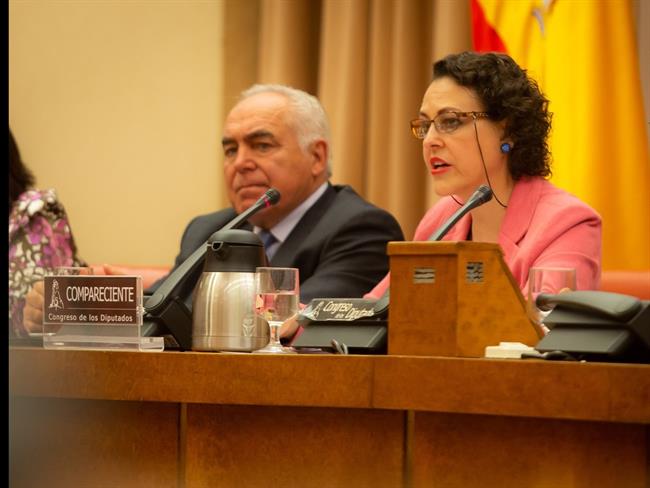 ep la ministra magdalena valerio comparececongreso