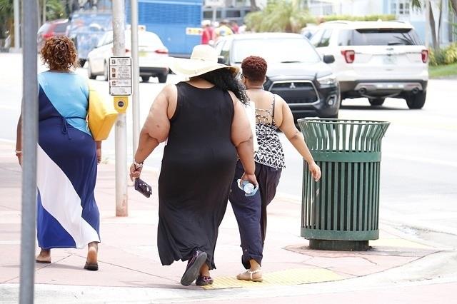 ep seedo luchala obesidad