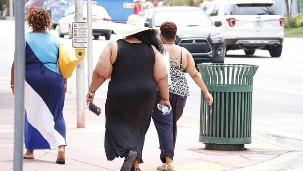 ep seedo luchala obesidad