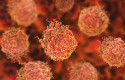 ep una nueva tecnica prometemejor deteccioncancerprostata metastasico ep una nueva tecnica prometemejor deteccioncancerprostata metastasico